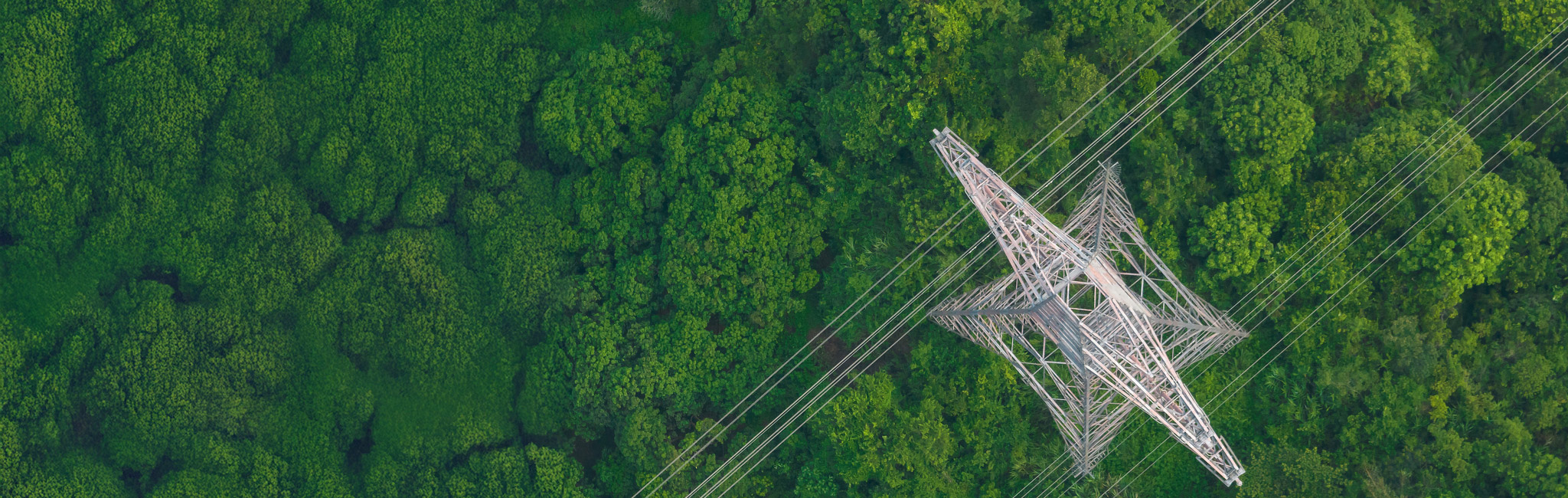 Header - Mandat de conseil