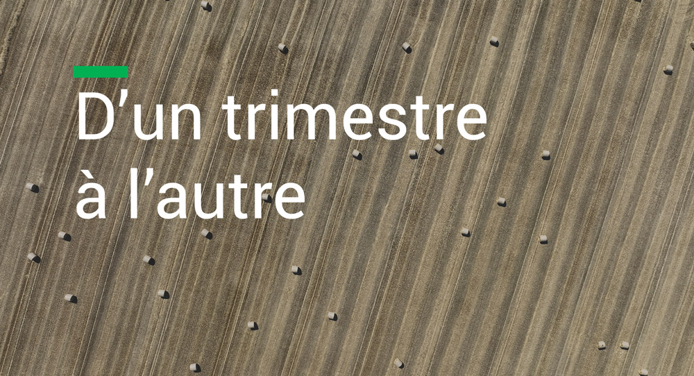 Publication - D'un trimestre à l'autre