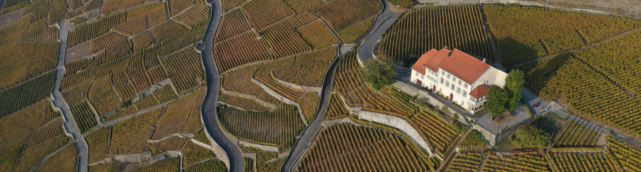 Header Montagny