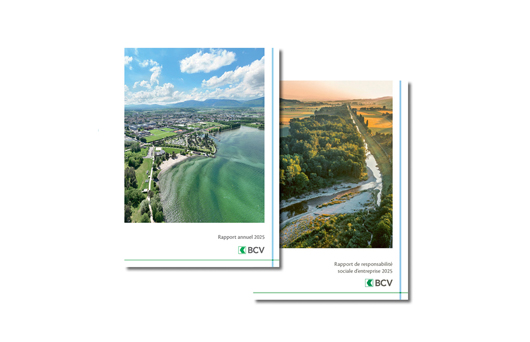 Publication rapport BCV