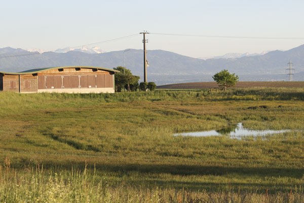 La prairie inondable du Bonbernard à Yens 